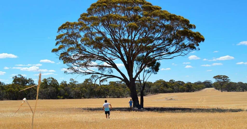 Cómo extender una Working Holiday Visa Australia: períodos de trabajos específicos