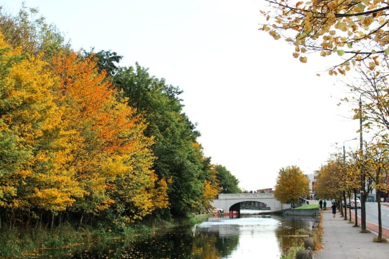 donde vivir en irlanda dublin