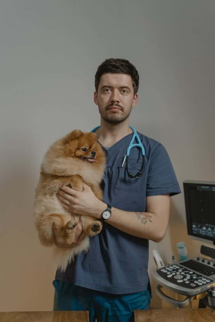 Veterinario