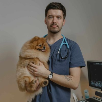 Veterinario